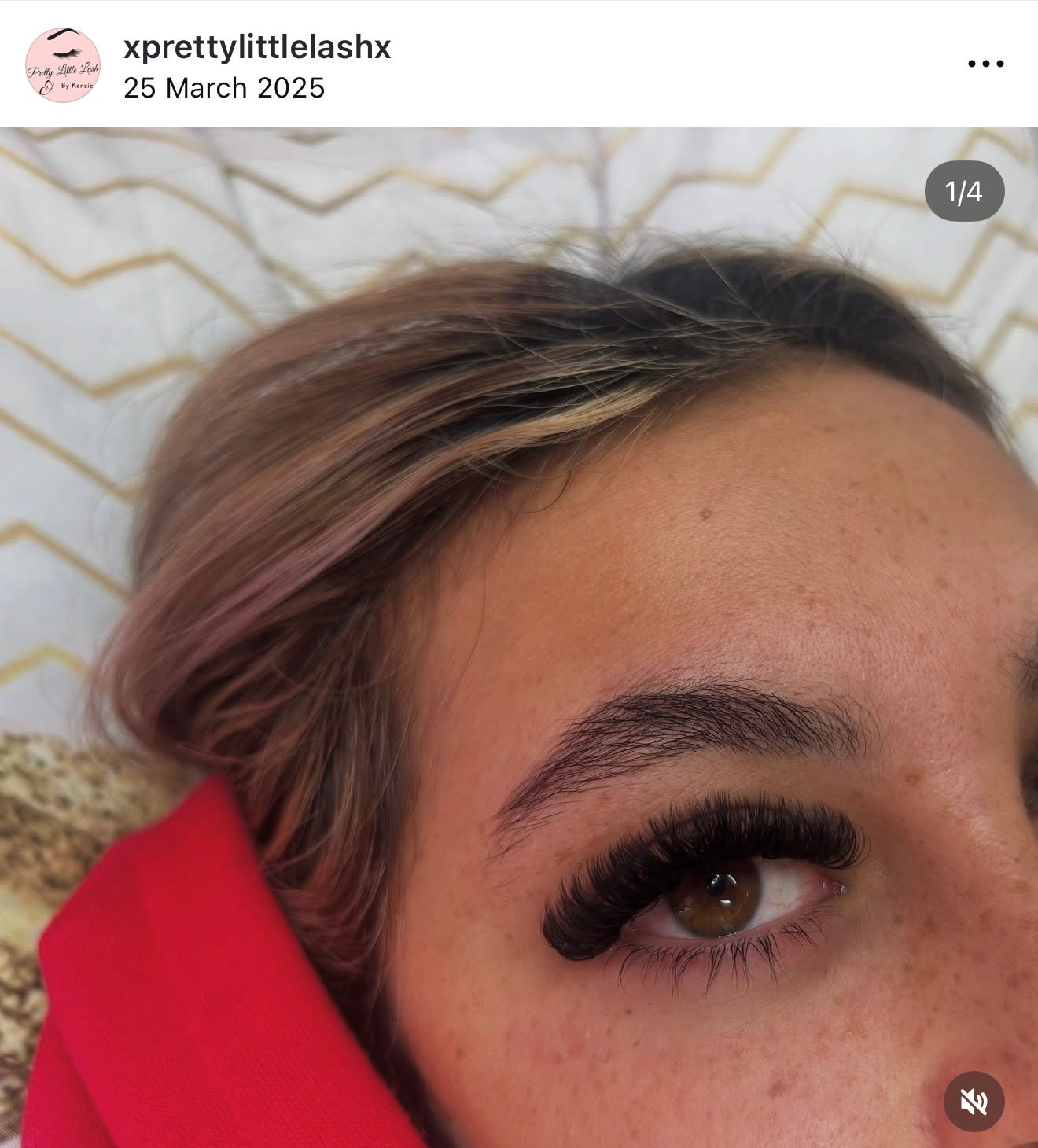 Easy Fan Lash Trays | CC D DD
